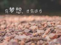 上海而萨而网络科技有限公司