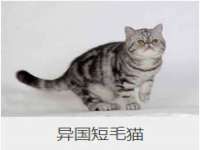上海而萨而网络科技有限公司