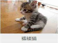 上海而萨而网络科技有限公司