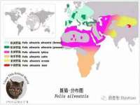 上海而萨而网络科技有限公司