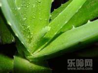 上海而萨而网络科技有限公司