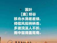 上海而萨而网络科技有限公司