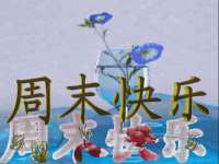 上海而萨而网络科技有限公司