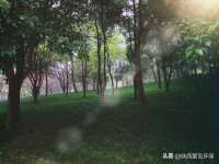 上海而萨而网络科技有限公司
