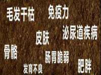 上海而萨而网络科技有限公司