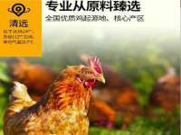 上海而萨而网络科技有限公司