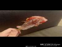 上海而萨而网络科技有限公司